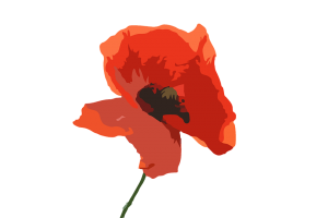 Poppy