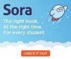 Sora Logo